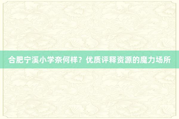 合肥宁溪小学奈何样？优质评释资源的魔力场所